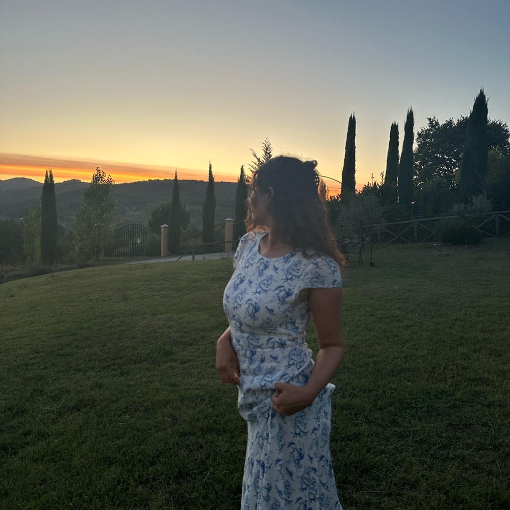 Reformation white and blue maxi dress, EUC